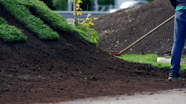 Man city worker levels black soil with rake in city park properly. Male preparing ground for fresh lawn laying crop body