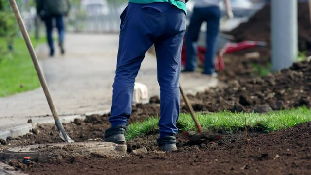 Young man city worker levels ground near newly laid turf roll in city park. Person prepares topsoil for further lawn laying