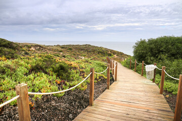 Obraz premium Beautiful landscape of cliffs and vegetation in the Alentejo coast
