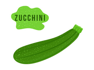 Green Zucchini in flat illustration. Whole fresh Zucchini isolated on white background. Vector illustration 