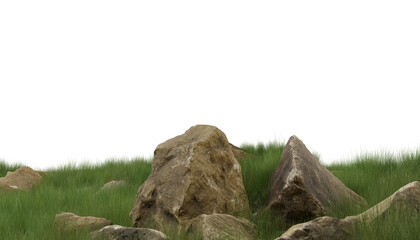 Green Grass and Rocks on Transparent Background.