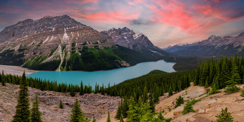 Iconic sunset at Peyto Lake in Banff National Park, Alberta Canada. Stunning mountain landscape with clouds and glacial fed lakes below. Great for tourism, travelling, website advertisement, pink