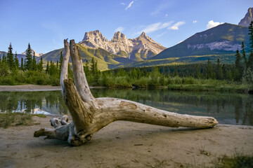 Fototapeta premium Three Sisters at sunset with driftwood in foreground. Taken near Banff National Park with blue sky background in perfect, background scenery.