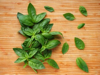 basil on a wooden backgroung