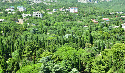 Top view of Foros Park - landscape park in the village of Foros in Crimea