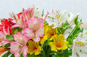 Multicolored bouquet of fresh flowers