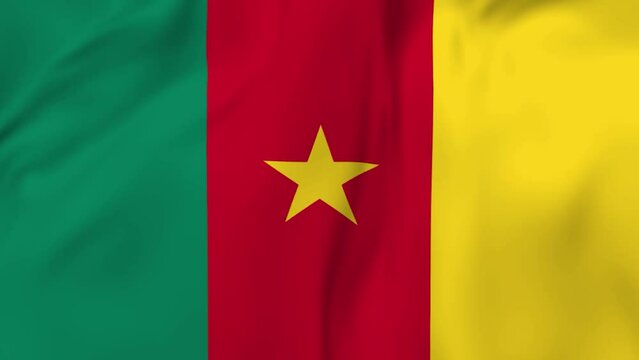 Arising map of Cameroon and waving flag of Cameroon in background. 4k video.