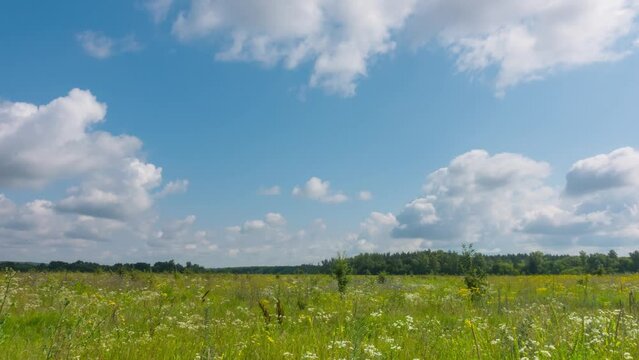 Summer time lapse of rural meadow Landscape. Good warm weather