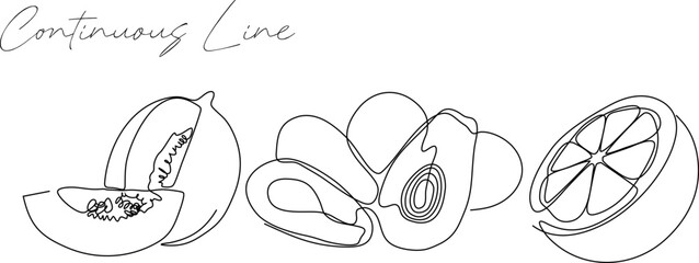 Set of bundles of continuous line drawing of fruits