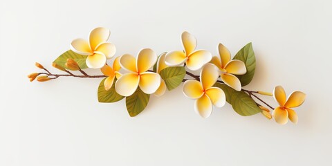 Fototapeta premium AI Generated. AI Generative. Plumeria frangipani flower tree branch close macro shot. Beautiful blossom spa relax vibe. Graphic Art