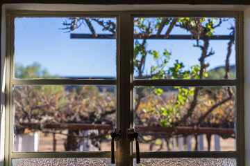 Blick aus einem alten Holzfenster auf ein Weinanbaugebiet, altes Landhaus