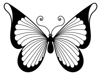 Butterfly black decorative element. Elegant ornate wings