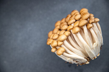 shimeji brown mushroom food snack on the table copy space food background rustic top view 
