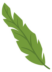 Green leaf. Fresh foliage symbol. Tree sign