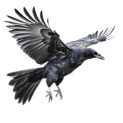 Fototapeta premium a black raven in flight, Wildlife-themed, cutout, isolated, photorealistic illustrations in a PNG. Generative AI