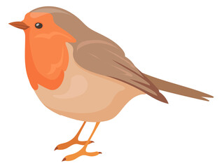 European robin. Wild bird. Funny wild songbird