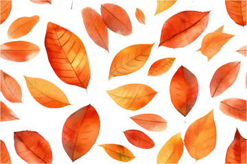 watercolor set vector illustration of autumn leaves isolate on white background