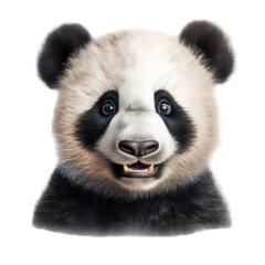 Obraz premium a cute Giant panda bear cub portrait, with happy dispositions, healthy-looking, best friend, Wildlife-themed, cutout, isolated, photorealistic illustrations in a PNG. Generative AI