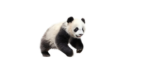 Fototapeta premium a cute Giant panda bear cub in motion, running, Wildlife-themed, cutout, isolated, photorealistic illustrations in a PNG. Generative AI
