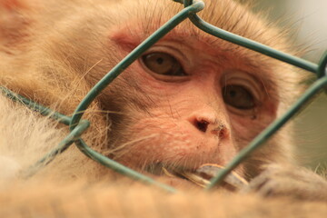 close up of a person