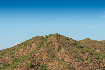 Nature landscape. A natural hill greened in spring and blue sky.