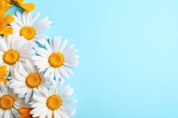 daisies on blue background. summer background with flowers. Ai generated.