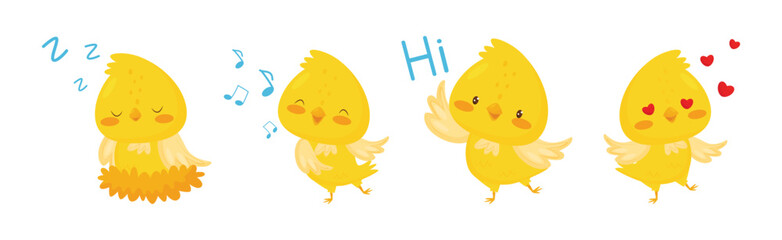 Cute Canary Bird with Bright Yellow Feathers Vector Set