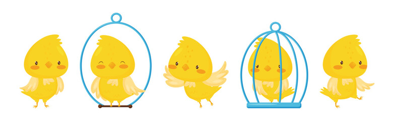 Cute Canary Bird with Bright Yellow Feathers Vector Set