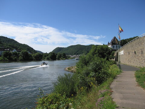 Mosel in Kobern-Gondorf