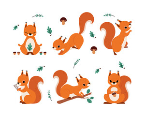 Cute Red Squirrel with Bushy Tail Vector Illustration Set