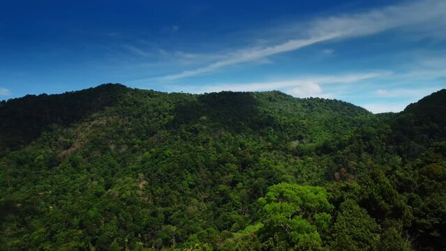 Green mountain ridge and blue sky filmed by drone at clear and warm summer day. View of jungle forest growing on hills and cliffs. Beauty of nature untouched by man and national environment reserve