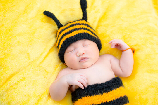 Asian Baby Girl dress in a bee costume,baby in bee costume,newborn baby in bee costume. newborn baby concept shot