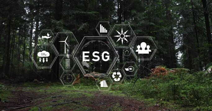 Beautiful green forest path with esg icons animation. Environment, society and governance. 