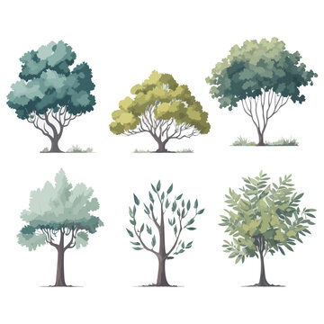 Minimal style tree painting hand drawn. Tree watercolor vector illustration. Set of graphics trees elements drawing for architecture and landscape design. White background