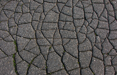 A network of black cracks on the asphalt surface. Road texture with weathered surface, showcasing the effects of time and wear.