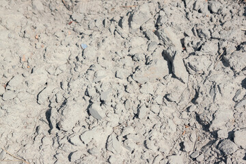 Dry dirty sand in detail. Sand close up. Hard sandy soil