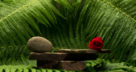 spa still life with zen stones on green leaves background.composition with zen stones and plants for product presentation podium background