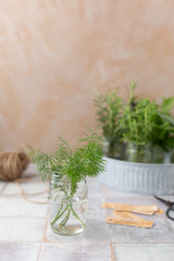 Freshly cut dill in vintage jelly far with more herbs in background