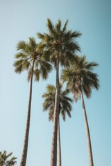 Palm tropical background. Illustration AI Generative.