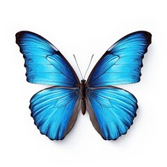 Naklejka premium Blue butterfly isolated. Illustration AI Generative.