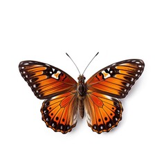 Tropical butterfly isolated. Illustration AI Generative.