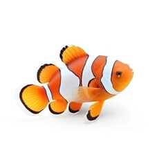 Clownfish isolated. Illustration AI Generative.