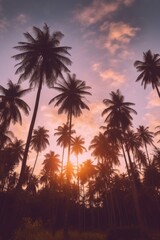 Fototapeta na wymiar Palm tropical background. Illustration AI Generative.