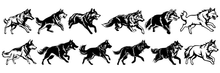 Wolf silhouettes set, large pack of vector silhouette design, isolated white background.