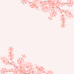 Cherry blossom flower background square social media template banner vector illustration. Cute Pink Floral background for spring summer with copy space.