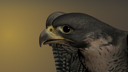Cabeza de lado de halcón peregrino, Ilustración 3D