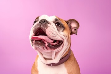 Medium shot portrait photography of a cute bulldog sitting against a pastel or soft colors background. With generative AI technology