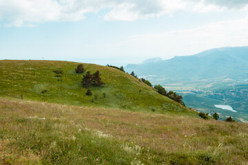 Completely overgrown with bushes and trees, a green mountain