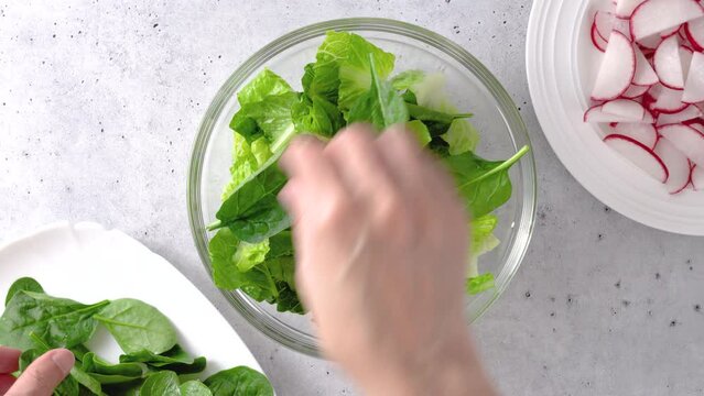 Spring salad recipe. Mixing lettuce, spinach, and radish. Close-up preparation process, recipe, view from above