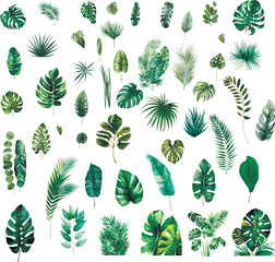 Set of silhouettes of different leaves, watercolor